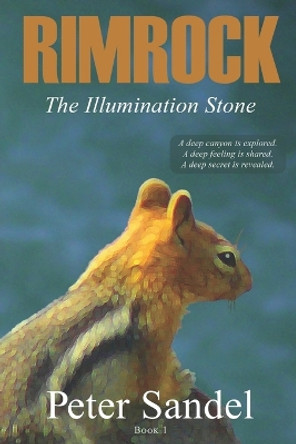 The Illumination Stone by Peter Sandel 9798985519211