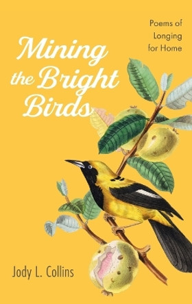 Mining the Bright Birds by Jody L Collins 9781666782950