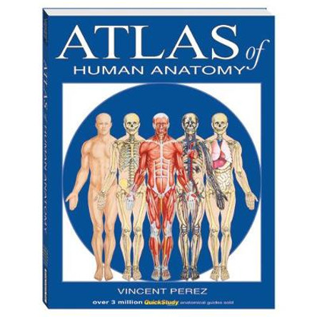 Atlas of Human Anatomy by Vincent Perez