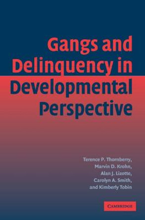 Gangs and Delinquency in Developmental Perspective by Terence P. Thornberry