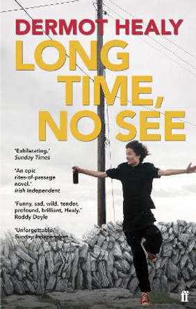 Long Time, No See by Dermot Healy 9780571210794