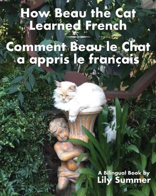 How Beau the Cat Learned French / Comment Beau le Chat a appris le Francais: A Bilingual Book by Lily Summer 9781587903939