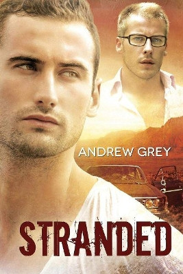 Stranded by Andrew Grey 9781623806583