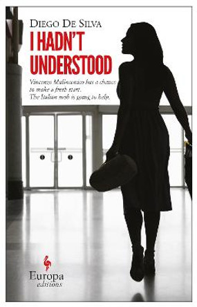 I Hadn't Understood by Diego De Silva