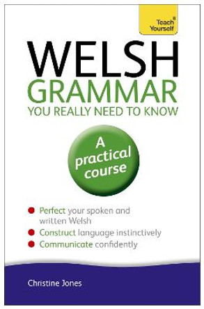 Welsh Grammar You Really Need to Know: Teach Yourself by Christine Jones