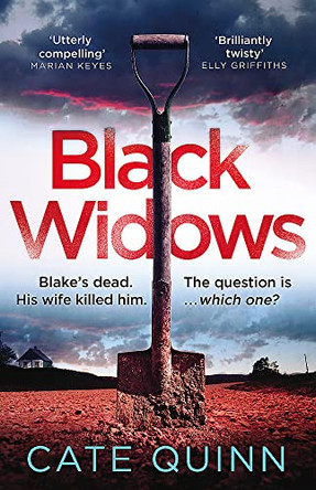 Black Widows by Cate Quinn 9781409196952 [USED COPY]