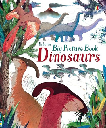 Big Picture Book of Dinosaurs by Laura Cowan 9781474922449 [USED COPY]