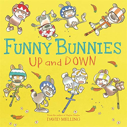 Funny Bunnies: Up and Down by David Melling 9781444931921 [USED COPY]