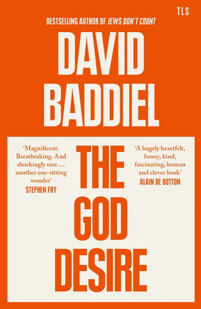 The God Desire by David Baddiel 9780008550288 [USED COPY]