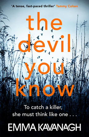 The Devil You Know by Emma Kavanagh 9781409175032 [USED COPY]