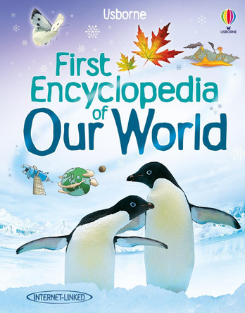 First Encyclopedia of our World by Felicity Brooks 9781409514305 [USED COPY]