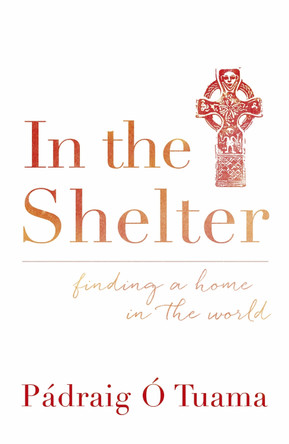 In the Shelter: Finding a Home in the World by Padraig O Tuama