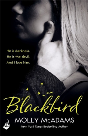 Blackbird: A story of true love against the odds by Molly McAdams 9781472247513 [USED COPY]