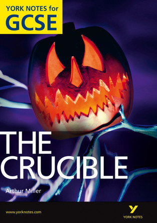 The Crucible: York Notes for GCSE (Grades A*-G) by David Langston 9781408270042 [USED COPY]