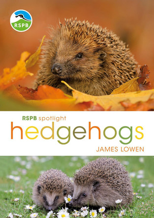 RSPB Spotlight Hedgehogs by James Lowen 9781472950086 [USED COPY]