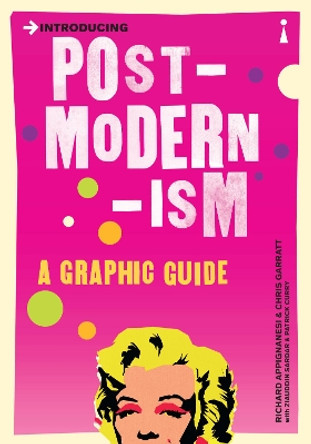 Introducing Postmodernism: A Graphic Guide by Richard Appignanesi 9781840468496 [USED COPY]