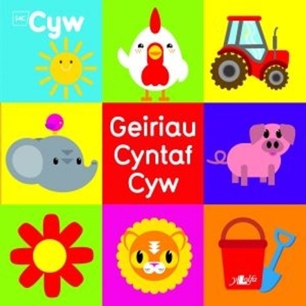 Cyfres Cyw: Geiriau Cyntaf Cyw by Helen Davies 9781784610005 [USED COPY]