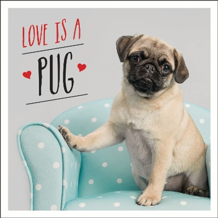 Love is a Pug: A Pugtastic Celebration of The World's Cutest Dogs by Charlie Ellis 9781786855138 [USED COPY]