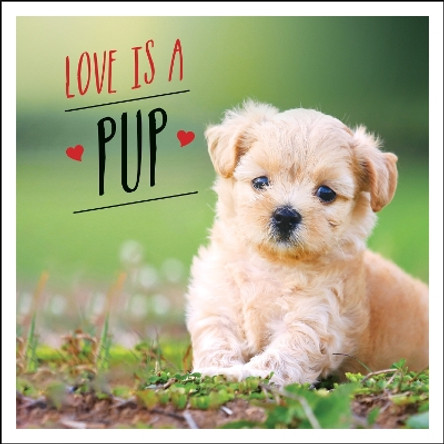 Love is a Pup: A Dog-Tastic Celebration of the World's Cutest Puppies by Charlie Ellis 9781787832619 [USED COPY]