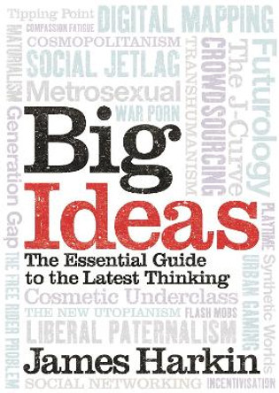 Big Ideas: The Essential Guide to the Latest Thinking by James Harkin 9781843547105 [USED COPY]