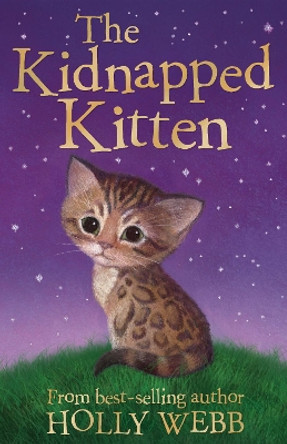 The Kidnapped Kitten by Holly Webb 9781847154224 [USED COPY]