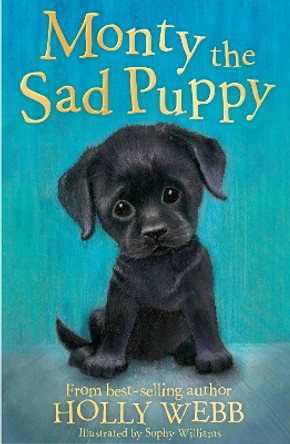 Monty the Sad Puppy by Holly Webb 9781847157737 [USED COPY]