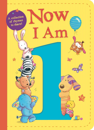 Now I Am 1 by Rachel Baines 9781848699304 [USED COPY]