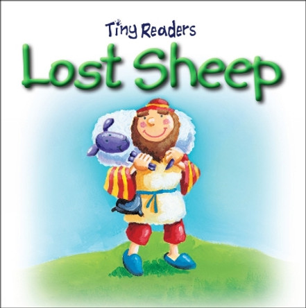 Lost Sheep by Juliet David 9781859859100 [USED COPY]