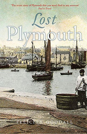 Lost Plymouth: Hidden Heritage of the Three Towns by Felicity Goodall 9781780274140 [USED COPY]