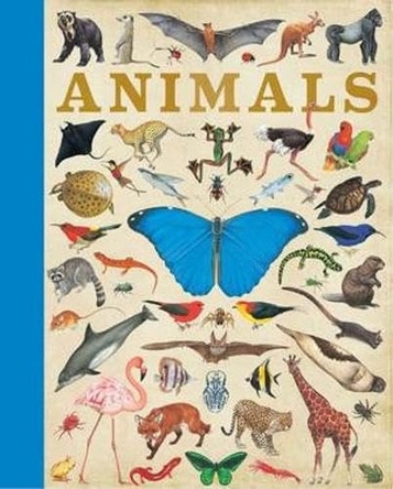 Animals by Camilla de le Bedoyere 9781781719114 [USED COPY]