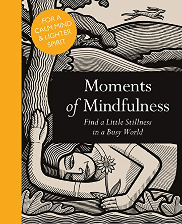 Moments of Mindfulness: Find a Little Stillness in a Busy World by Adam Ford 9781782402510 [USED COPY]