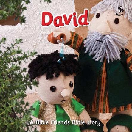 David by Maggie Barfield 9781844277117 [USED COPY]