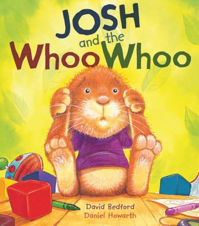 Storytime: Josh and the Woo Woo by David Bedford 9781848352407 [USED COPY]