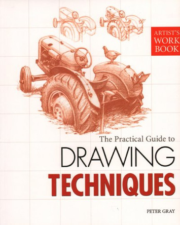 Drawing Techniques by Peter Gray 9781848372771 [USED COPY]