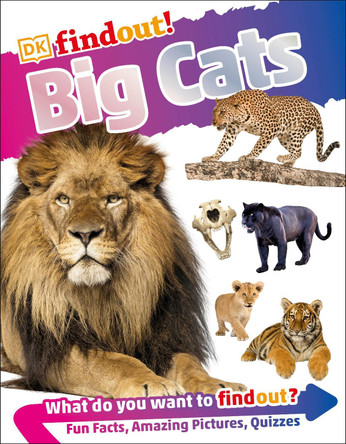 DKfindout! Big Cats by DK 9780241358412 [USED COPY]