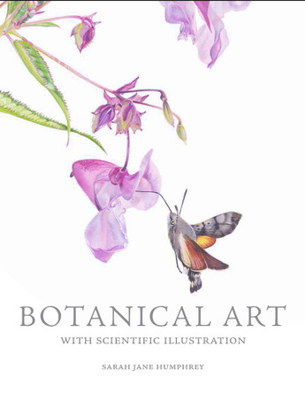 Botanical Art with Scientific Illustration by Sarah Jane Humphrey