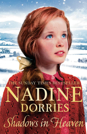 Shadows in Heaven Nadine Dorries 9781786697516
