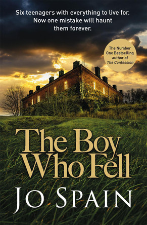 The Boy Who Fell by Jo Spain