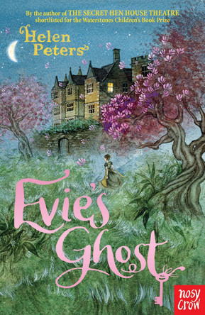 Evie's Ghost by Helen Peters 9780857638427 [USED COPY]