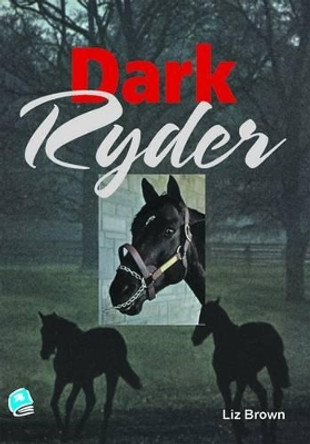 Dark Ryder by Liz Brown 9781906053246 [USED COPY]