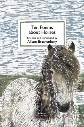 Ten Poems about Horses by Alison Brackenbury 9781907598791 [USED COPY]