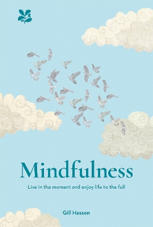 Mindfulness: Live in the Moment and Enjoy Life to the Full by Gill Hasson 9781911358763 [USED COPY]