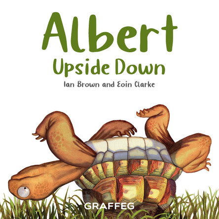 Albert Upside Down by Ian Brown 9781913634162 [USED COPY]