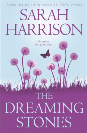 The Dreaming Stones by Sarah Harrison 9780340767580 [USED COPY]