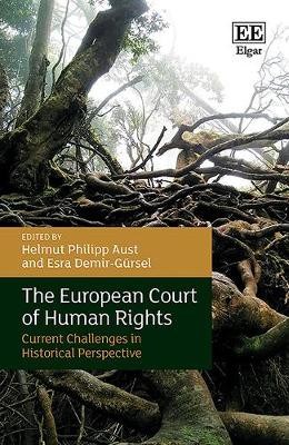 The European Court of Human Rights: Current Challenges in Historical Perspective by Helmut P. Aust