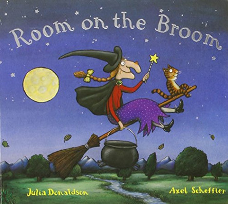 Room on the Broom by Julia Donaldson 9780230749351 [USED COPY]