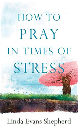 How to Pray in Times of Stress by Linda Evans Shepherd 9780800729080 [USED COPY]