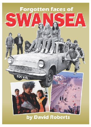 Forgotten Faces of Swansea: v. 12 by David Roberts 9781905900145 [USED COPY]