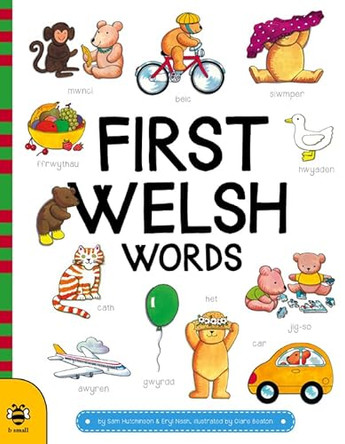 First Welsh Words by Sam Hutchinson 9781911509189 [USED COPY]