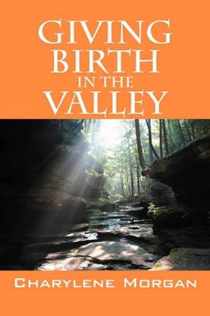Giving Birth in the Valley by Charylene Morgan 9781432756970